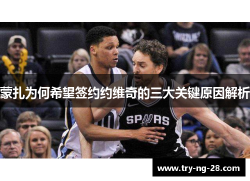 蒙扎为何希望签约约维奇的三大关键原因解析