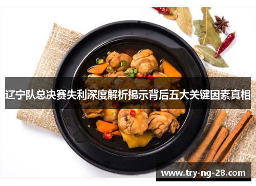 辽宁队总决赛失利深度解析揭示背后五大关键因素真相