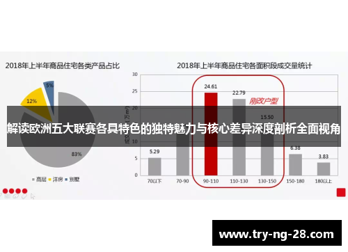 解读欧洲五大联赛各具特色的独特魅力与核心差异深度剖析全面视角