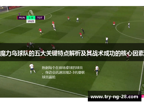 魔力鸟球队的五大关键特点解析及其战术成功的核心因素