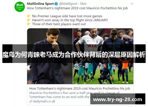 魔鸟为何青睐老马成为合作伙伴背后的深层原因解析