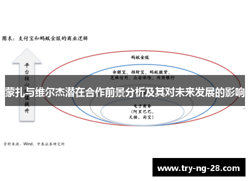 蒙扎与维尔杰潜在合作前景分析及其对未来发展的影响