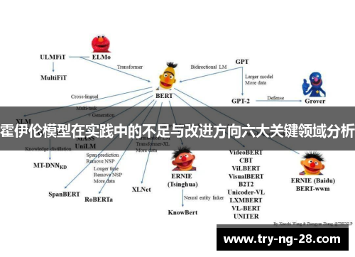 霍伊伦模型在实践中的不足与改进方向六大关键领域分析