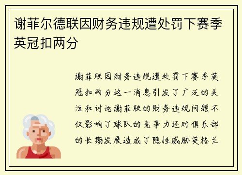 谢菲尔德联因财务违规遭处罚下赛季英冠扣两分